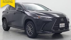 2025 Lexus NX 250 Premium