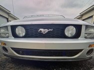 2007 Ford Mustang SALEEN HERITAGE # 58