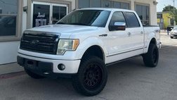 2010 Ford F-150 Platinum
